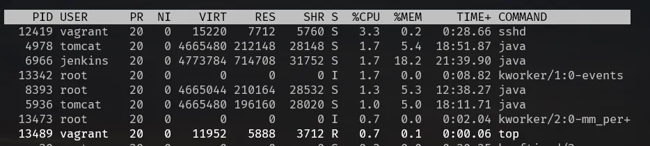 top process list with Jenkins and two Tomcat java processes near the top, plus sshd and kernel workers