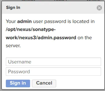 SonarQube screenshot 17