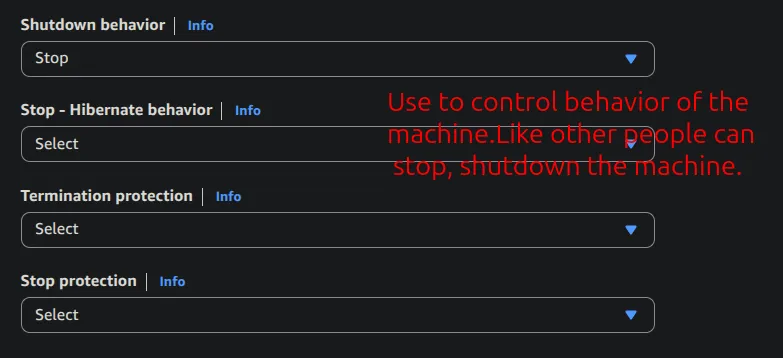 Shutdown behavior, stop-hibernate behavior, termination protection and stop protection settings