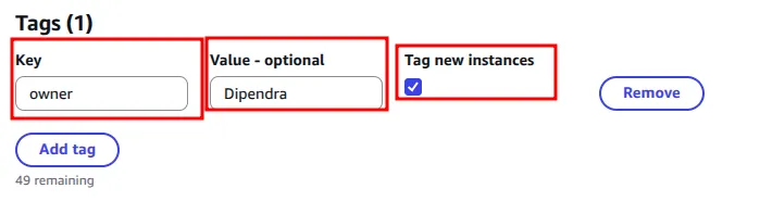 Auto Scaling group tag owner set to Dipendra with Tag new instances checked
