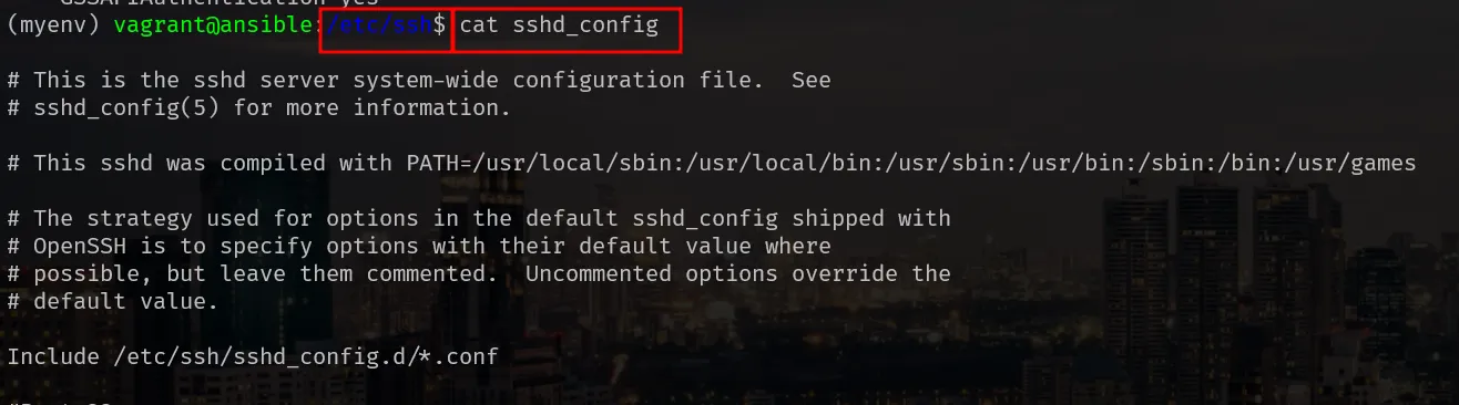 Ansible screenshot 6