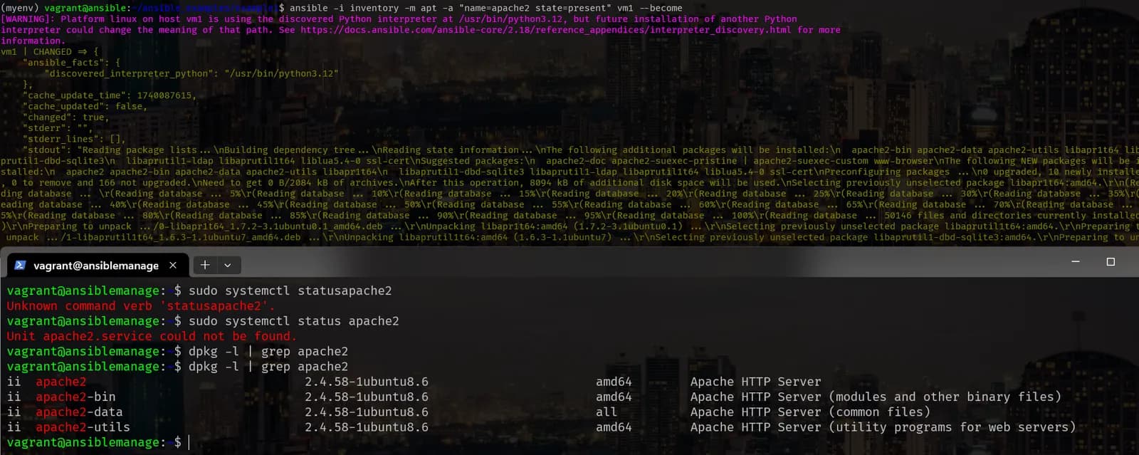 Ansible screenshot 13