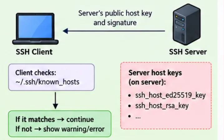 Server Authentication
