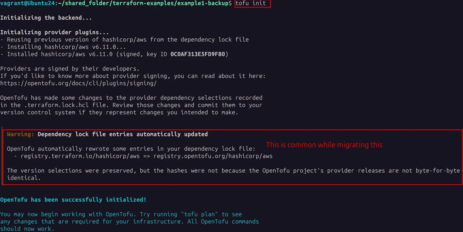 OpenTofu screenshot 2