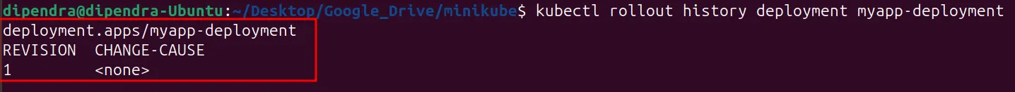 minikube screenshot 14