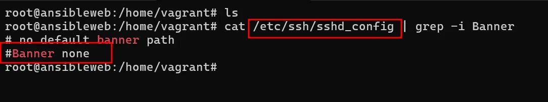 Ansible playbook II screenshot 7