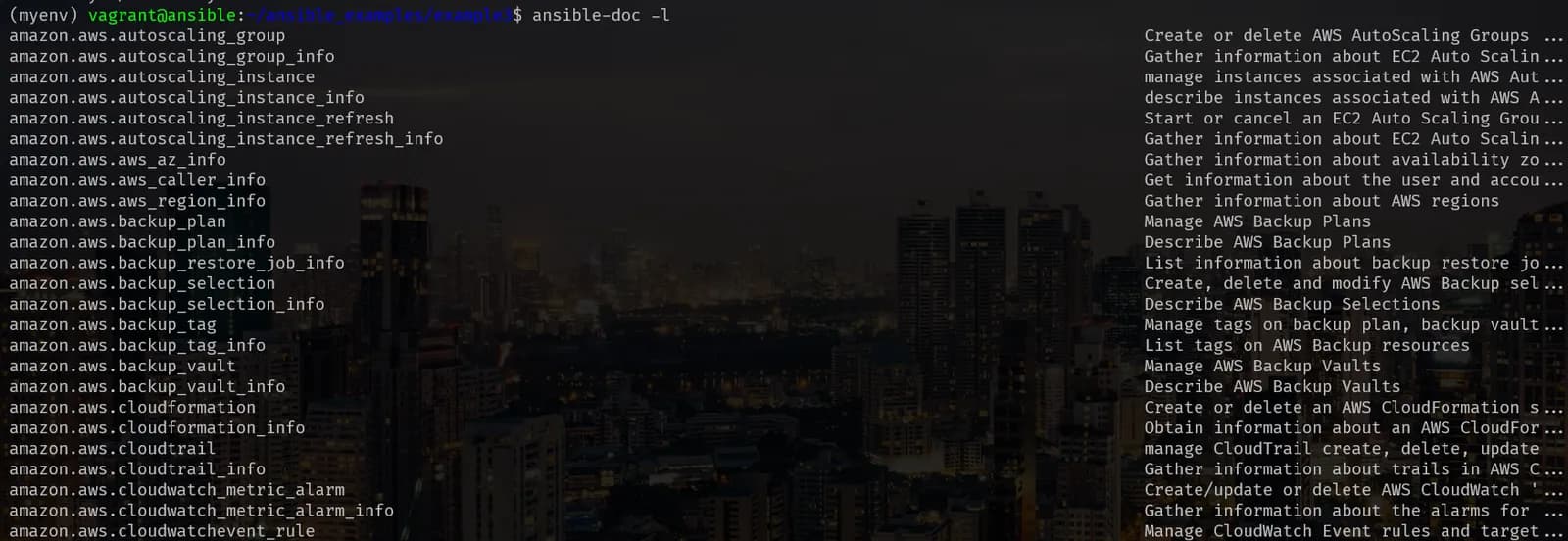 Ansible Playbook I screenshot 3