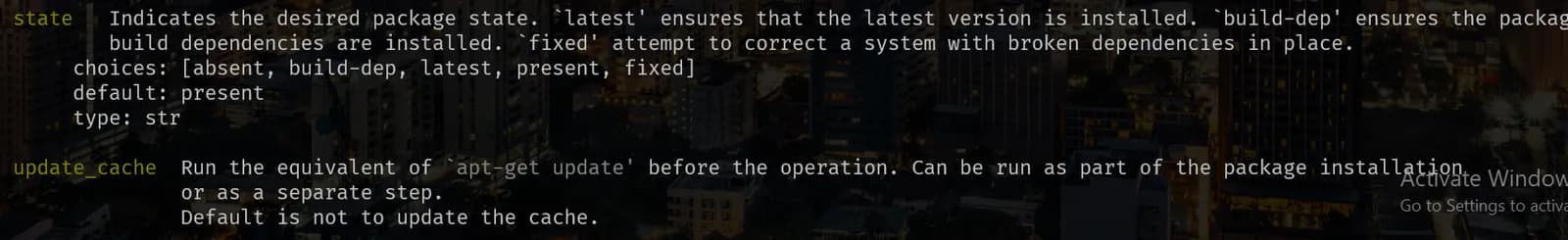 Ansible Playbook I screenshot 4