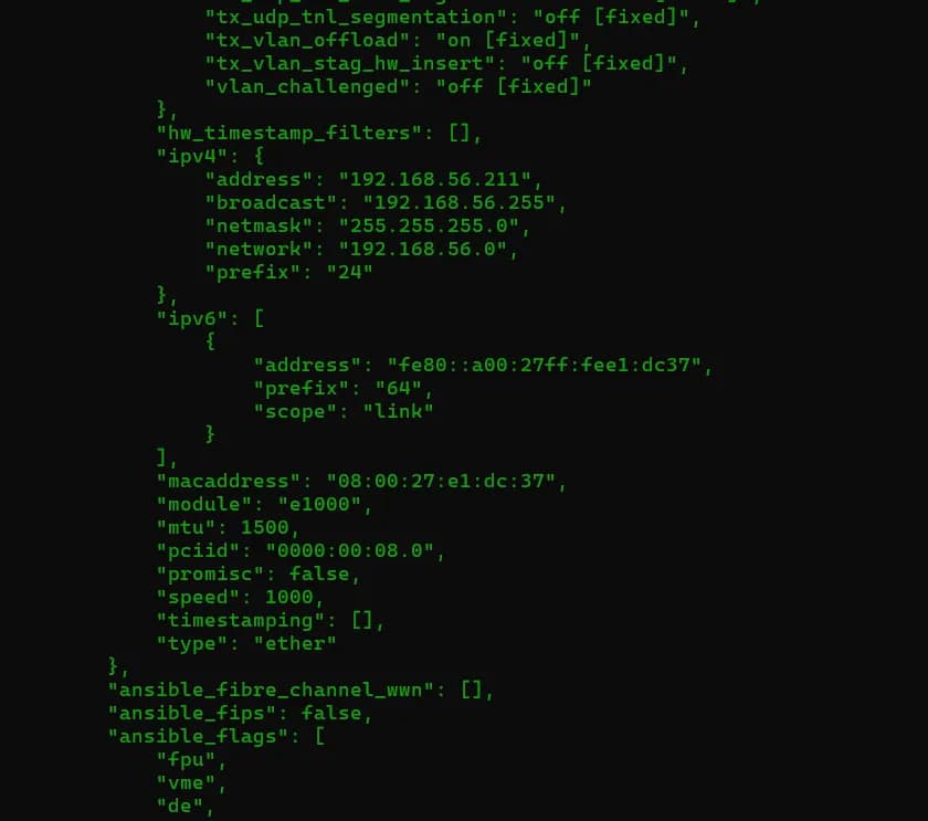 Ansible Playbook I screenshot 8