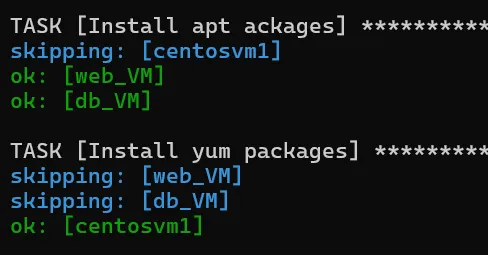 Ansible Playbook I screenshot 9