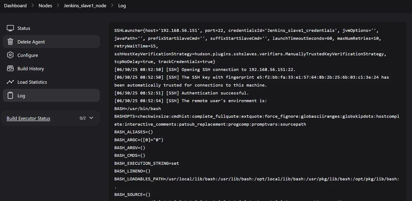 Distributed Build Example in Jenkins screenshot 8